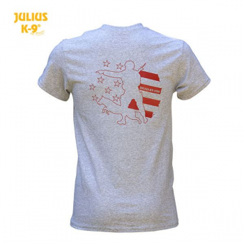 T-shirt popielaty USA1